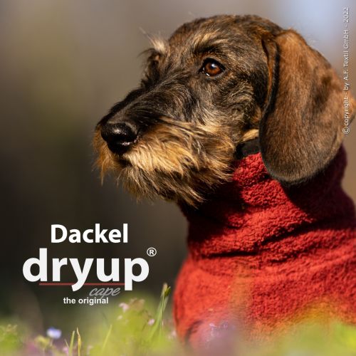 DRYUP Dackel Bordeaux new HEADER